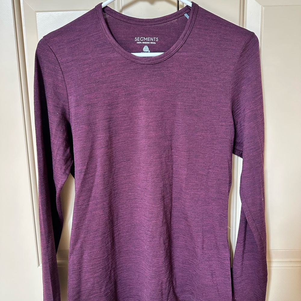 Segments Long Sleeve Crewneck 100% merino wool Top in Plum